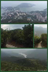 10429831_10101435978205262_7098853898621589181_n